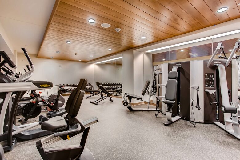 Vail - The Lion Luxury Apartment - Vail, Colorado