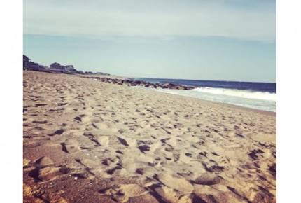 Plum Island Beauty - Newbury, Massachusetts