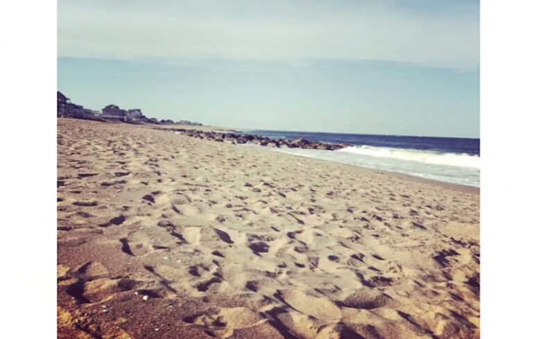 Plum Island Beauty - Newbury, Massachusetts