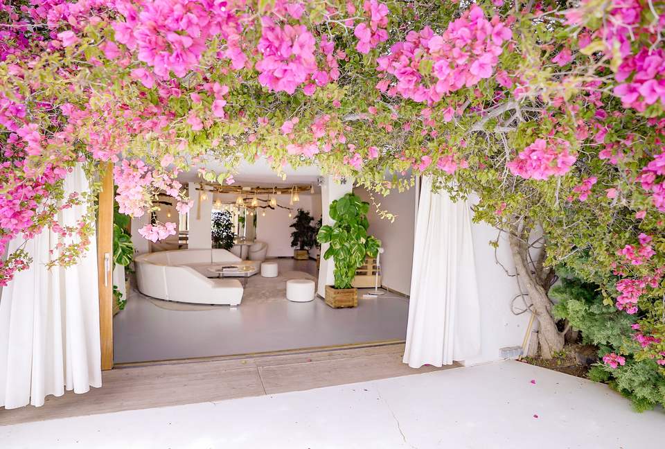 Blue Star (R) - Ibiza, Spain