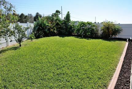 Mickey House - Close to Disney! - Kissimmee, Florida