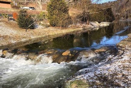 Sugar Grove Estate - Sugar Grove, North Carolina