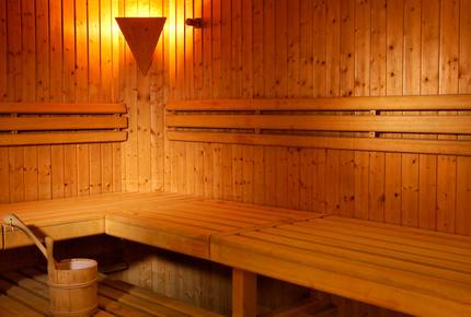 Alpine Studio Chalet - Gstaad, Switzerland