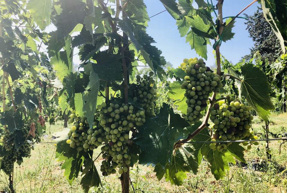 Palazzo Grande (R) - Corciano (Umbria), Italy