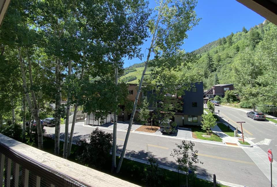 Downtown Aspen Luxury - Aspen, Colorado