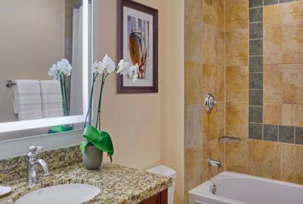 Sheraton Vistana Resort Villas - Orlando, Florida