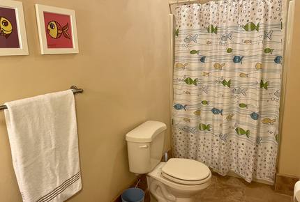 Smith Mountain Lake 5 Bedroom - Moneta, Virginia