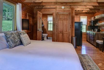 Oxbow Luxe Modern Farmhouse - near Asheville - Weaverville, North Carolina