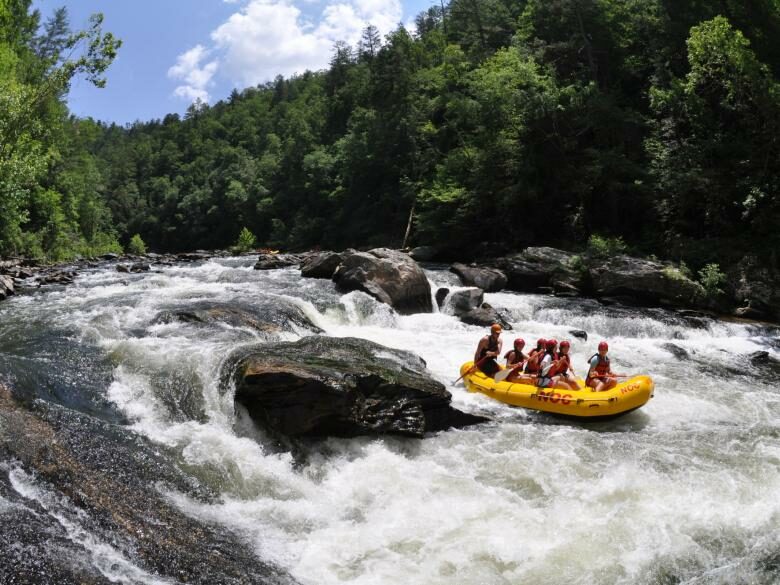 Laurelwood - Near Cashiers and Highlands! - Glenville, North Carolina