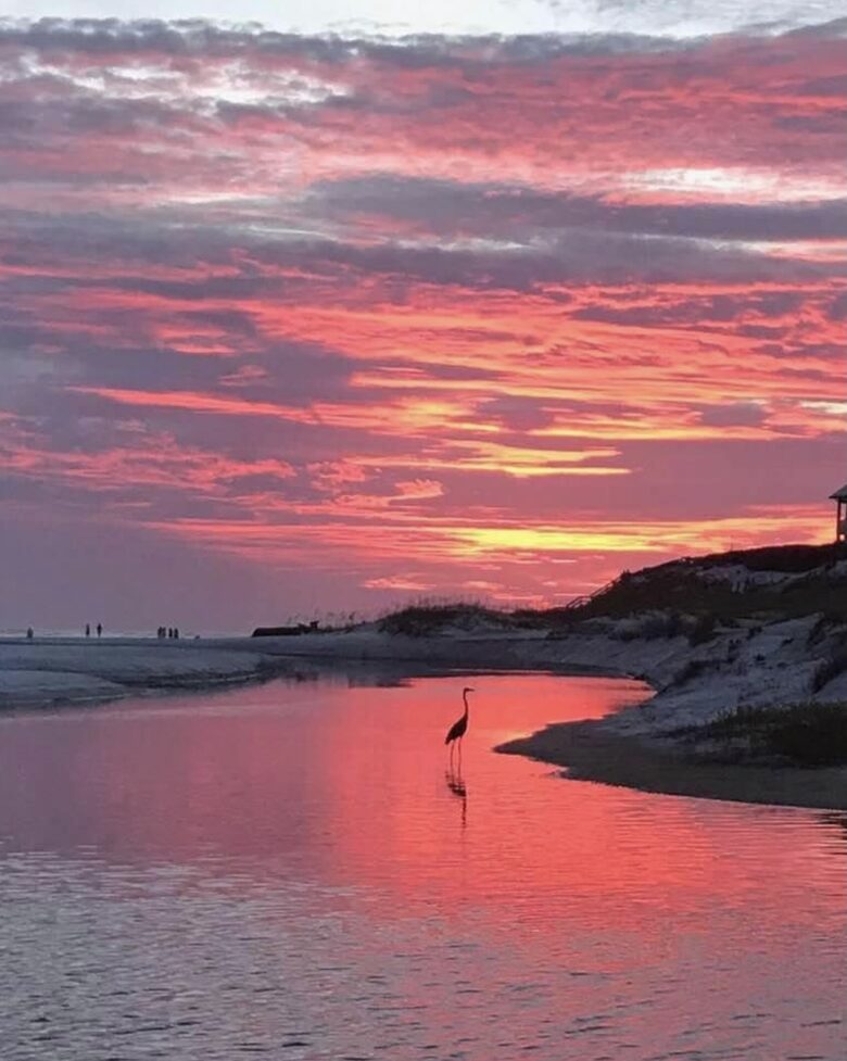 30A Beach/Lakefront House - Santa Rosa Beach, Florida