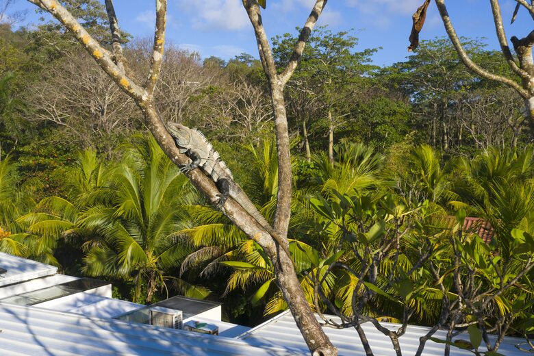 Villa Akoya - Santa Teresa, Costa Rica