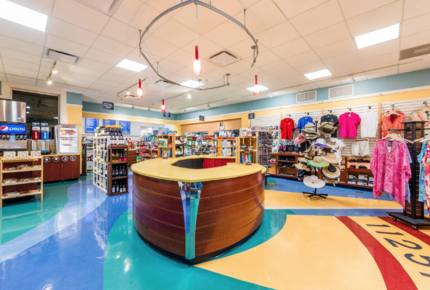 Marriott Cypress Harbour 2 Bedroom Luxe Villa - Orlando, Florida