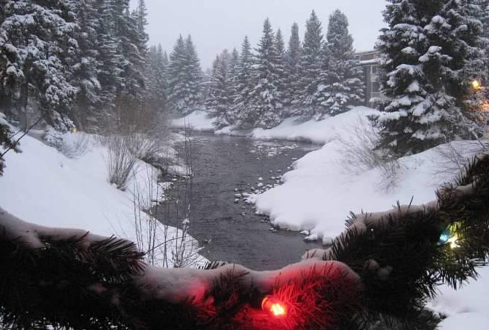 Cozy Home Nestled between Vail & Beaver Creek - Avon, Colorado