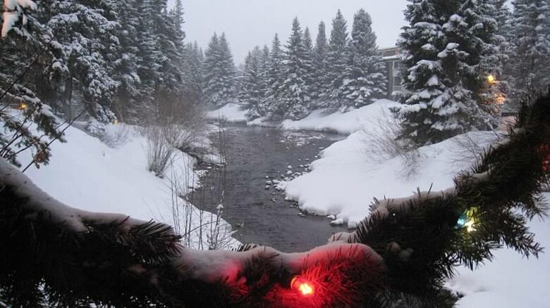 Cozy Home Nestled between Vail & Beaver Creek - Avon, Colorado