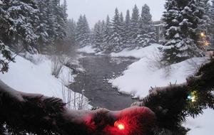 Cozy Home Nestled between Vail & Beaver Creek - Avon, Colorado