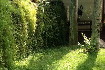 Stunning Mountainside Home in Rio - Rio de Janeiro, Brazil