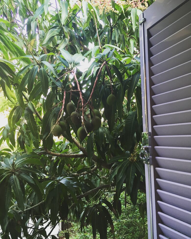 Stunning Mountainside Home in Rio - Rio de Janeiro, Brazil