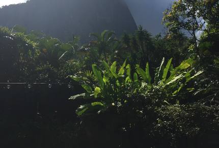 Stunning Mountainside Home in Rio - Rio de Janeiro, Brazil