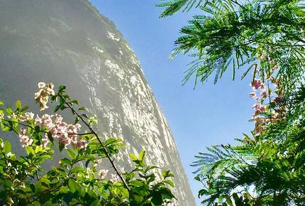 Stunning Mountainside Home in Rio - Rio de Janeiro, Brazil