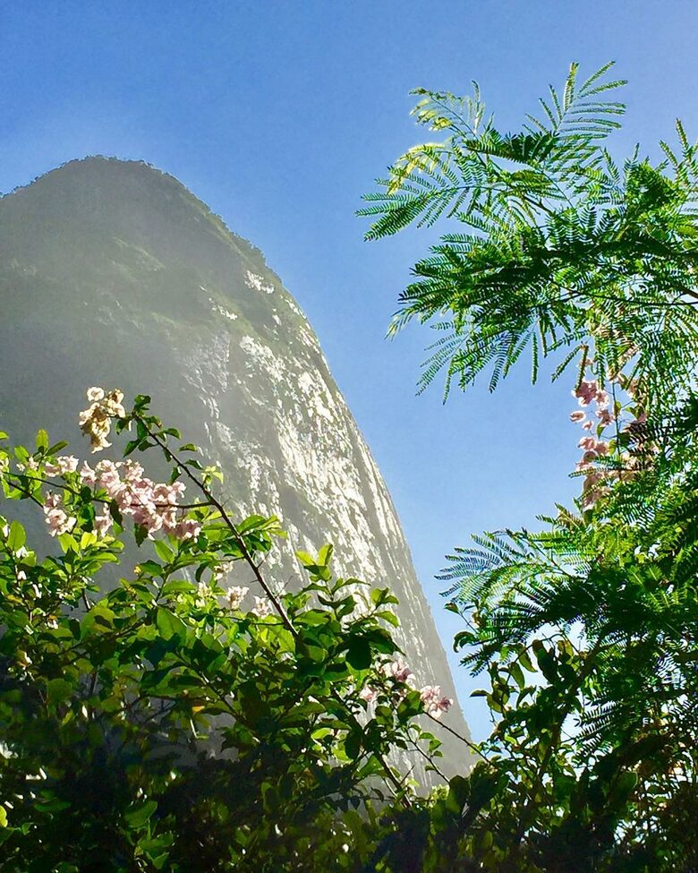 Stunning Mountainside Home in Rio - Rio de Janeiro, Brazil