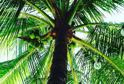 Stunning Mountainside Home in Rio - Rio de Janeiro, Brazil