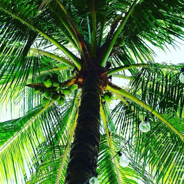 Stunning Mountainside Home in Rio - Rio de Janeiro, Brazil