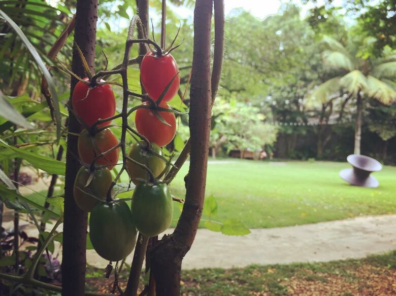 Stunning Mountainside Home in Rio - Rio de Janeiro, Brazil