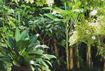 Stunning Mountainside Home in Rio - Rio de Janeiro, Brazil