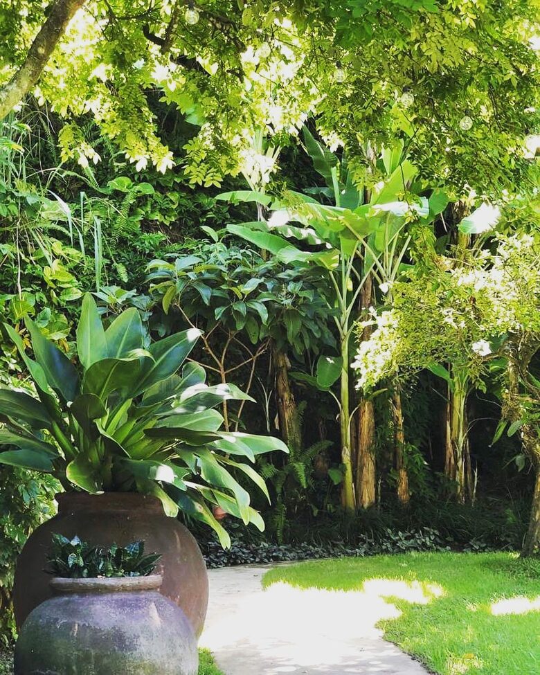 Stunning Mountainside Home in Rio - Rio de Janeiro, Brazil