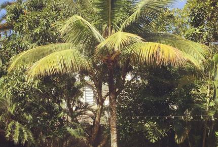 Stunning Mountainside Home in Rio - Rio de Janeiro, Brazil