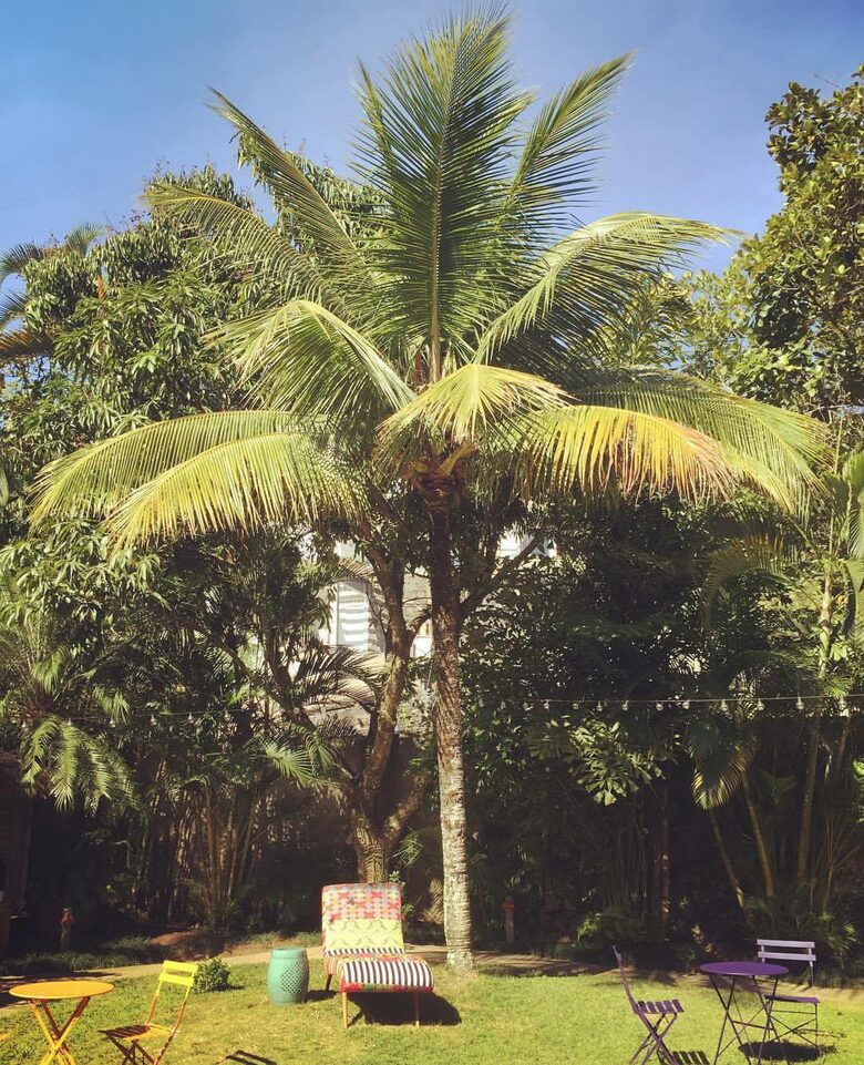 Stunning Mountainside Home in Rio - Rio de Janeiro, Brazil