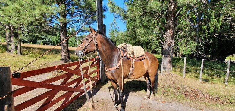 Ranch House on 880-acre Ranch in Argentine Lake District - Villa Lago Rivadavia, Argentina