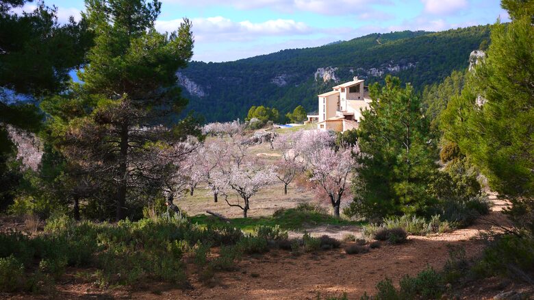 Mas de la Serra - Fuentespalda, Spain