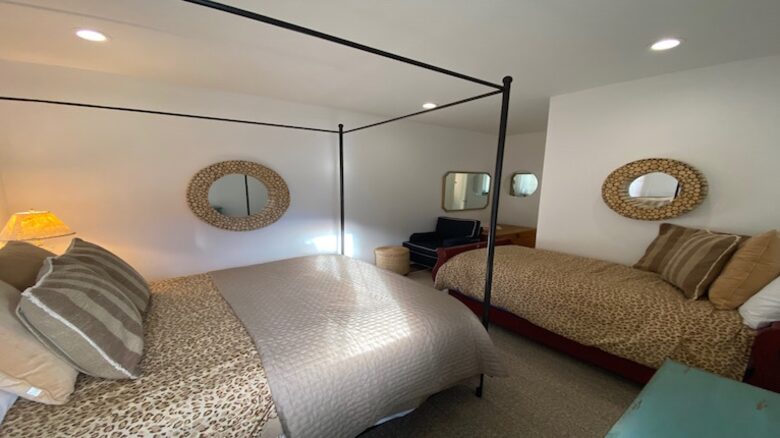 Telluride Town Ski Haven - Telluride, Colorado