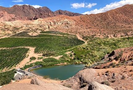 Mountain Luxury Ranch with private vineyards - Uspallata, Argentina