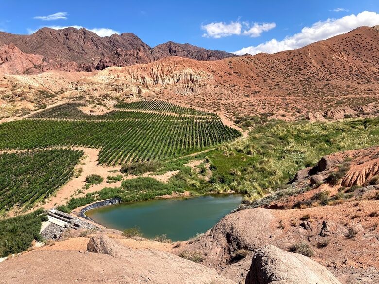 Mountain Luxury Ranch with private vineyards - Uspallata, Argentina