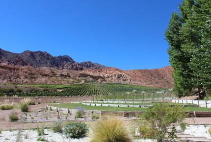 Mountain Luxury Ranch with private vineyards - Uspallata, Argentina