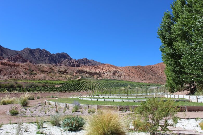 Mountain Luxury Ranch with private vineyards - Uspallata, Argentina