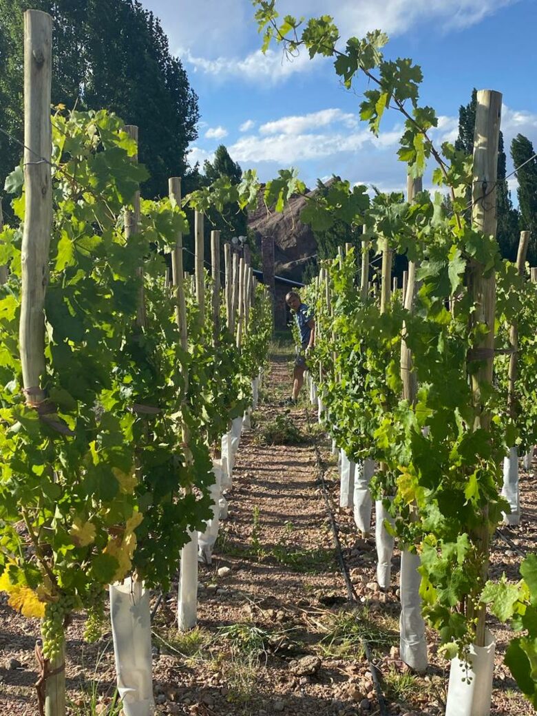 Mountain Luxury Ranch with private vineyards - Uspallata, Argentina