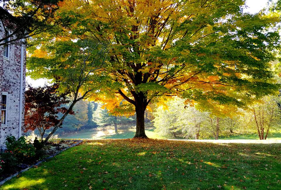 Irish Country Estate In The Berkshires - Pittsfield, Massachusetts