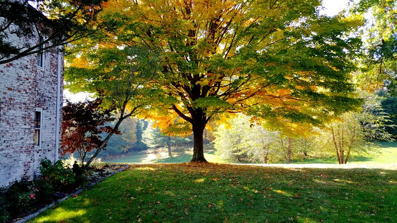 Irish Country Estate In The Berkshires - Pittsfield, Massachusetts