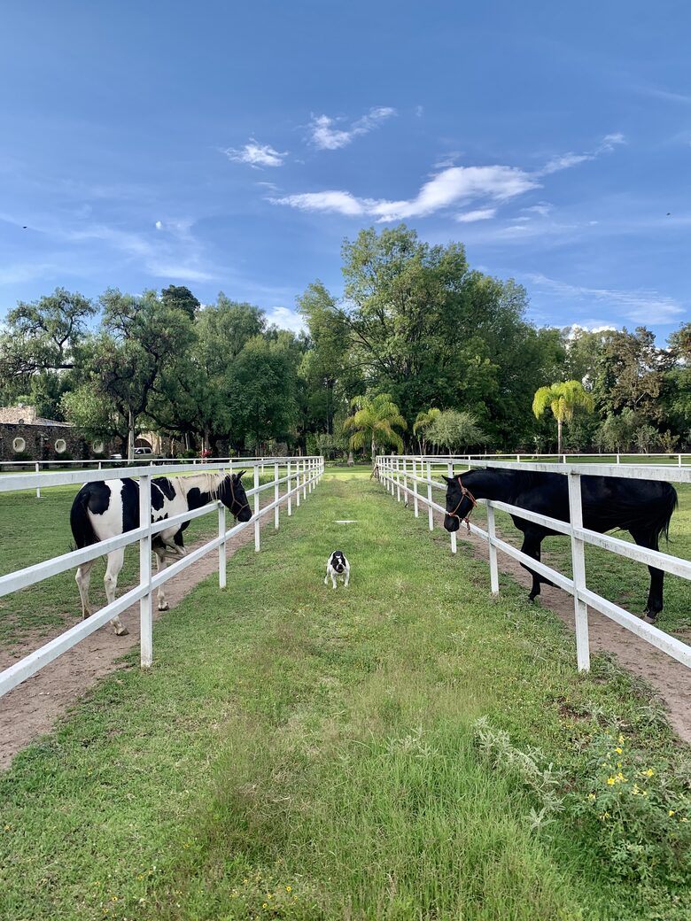 Luxury Mexican Hacienda Mesón Real De Plata - Santiago de Querétaro, Mexico