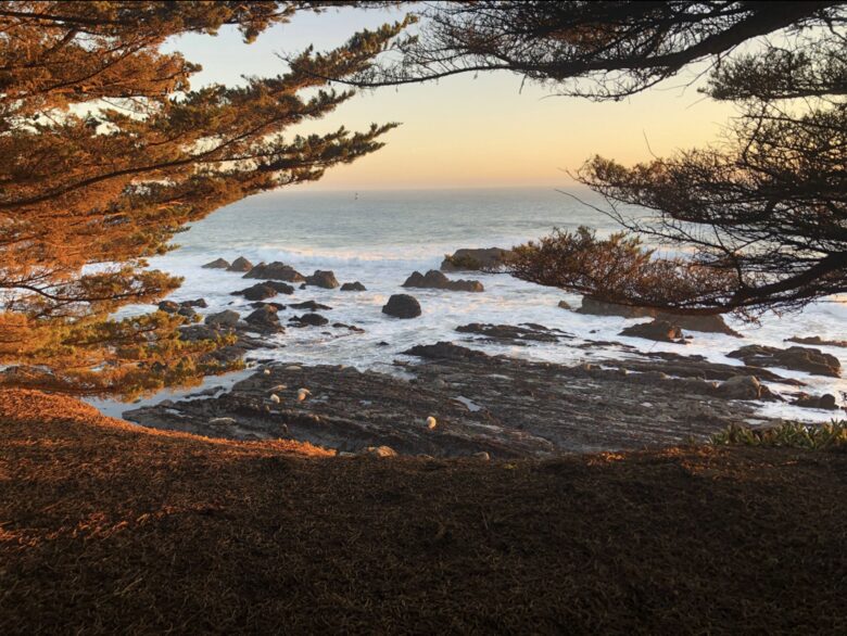 Serenity-by-the-Sea - The Sea Ranch, California