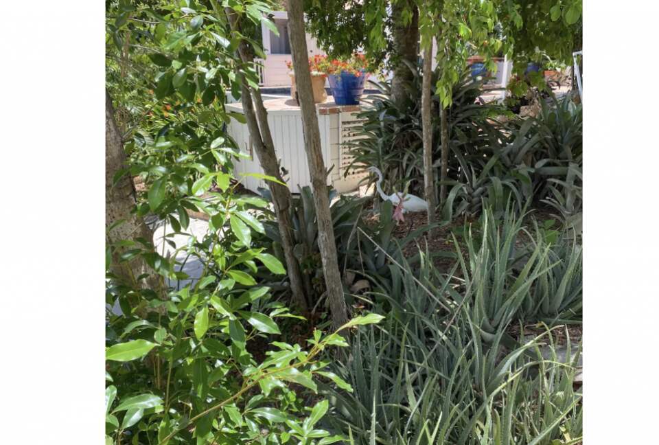 Casa Vitae - Coral Bay, Virgin Islands, U.S.