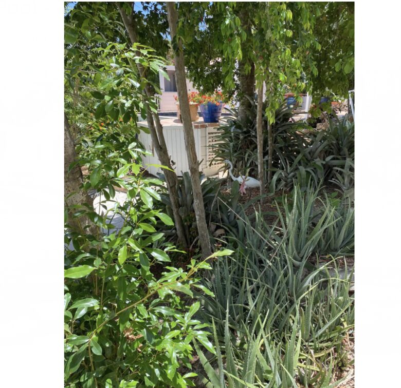 Casa Vitae - Coral Bay, Virgin Islands, U.S.