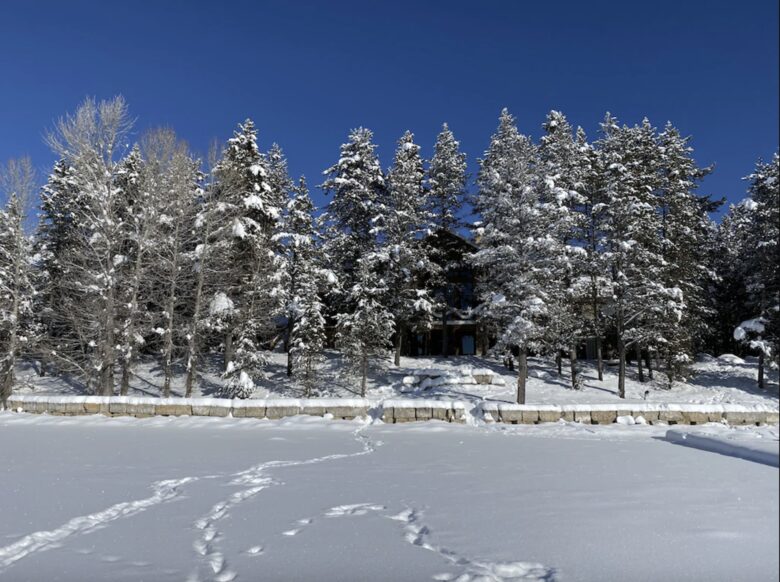 Bill's Island Waterfront Cabin - Island Park, Idaho