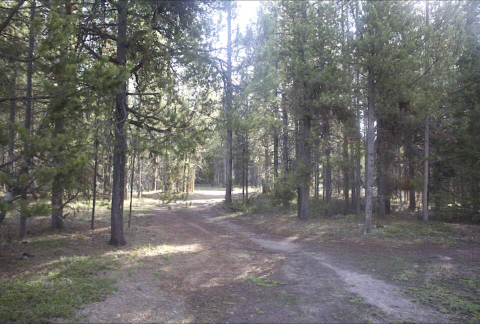 Bill's Island Waterfront Cabin - Island Park, Idaho