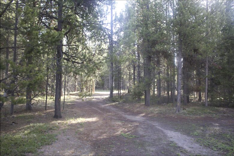 Bill's Island Waterfront Cabin - Island Park, Idaho