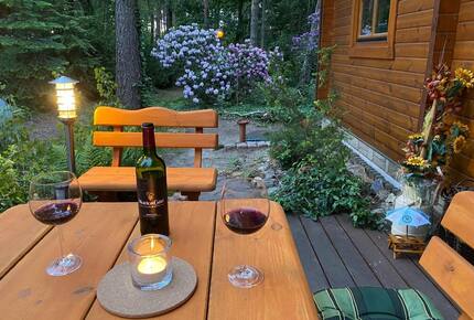 Waldhaus Eichhörnchen - Bad Schmiedeberg, Germany