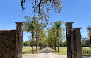 Luxury Mexican Hacienda Mesón Real De Plata